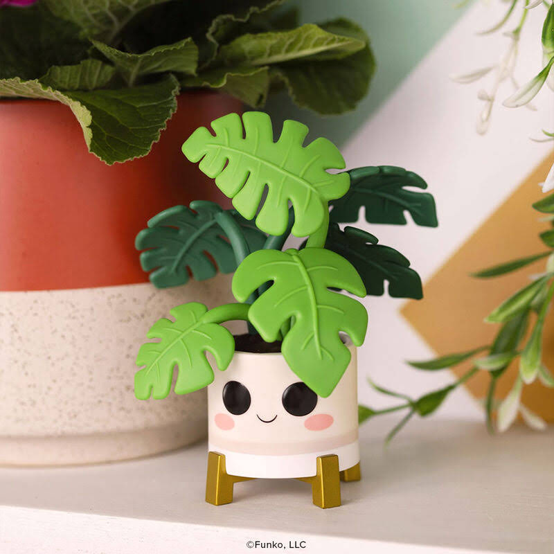 Pop! Plants Monstera - Image 2