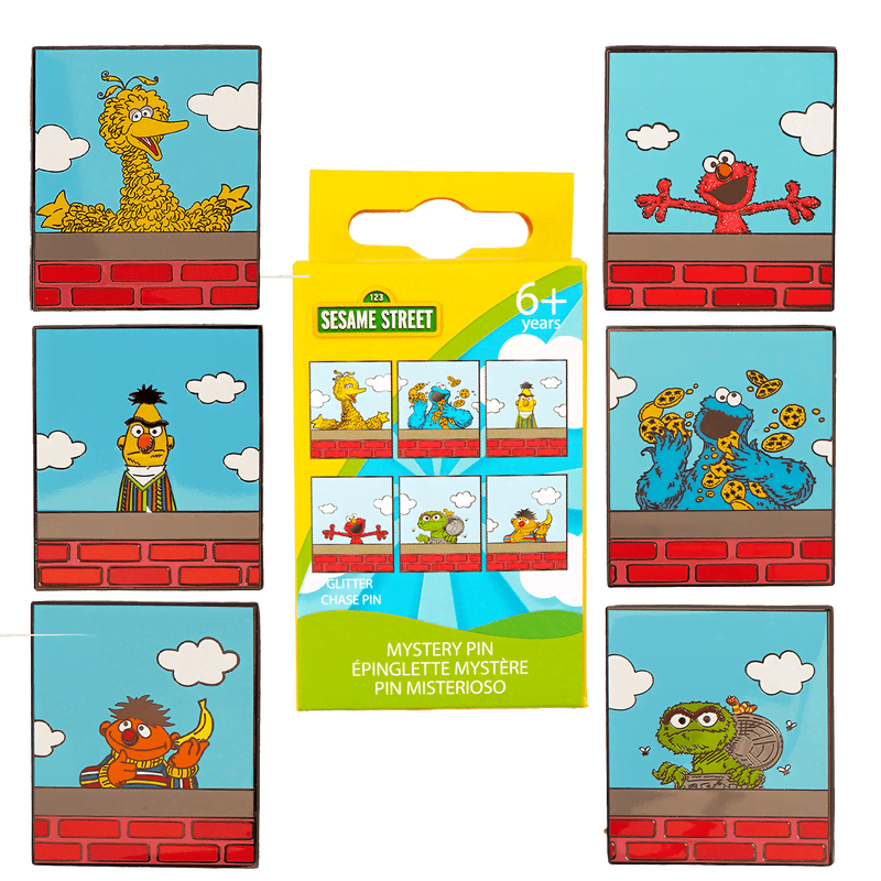 Sesame Street Neighborhood Friends Mystery Box Pin