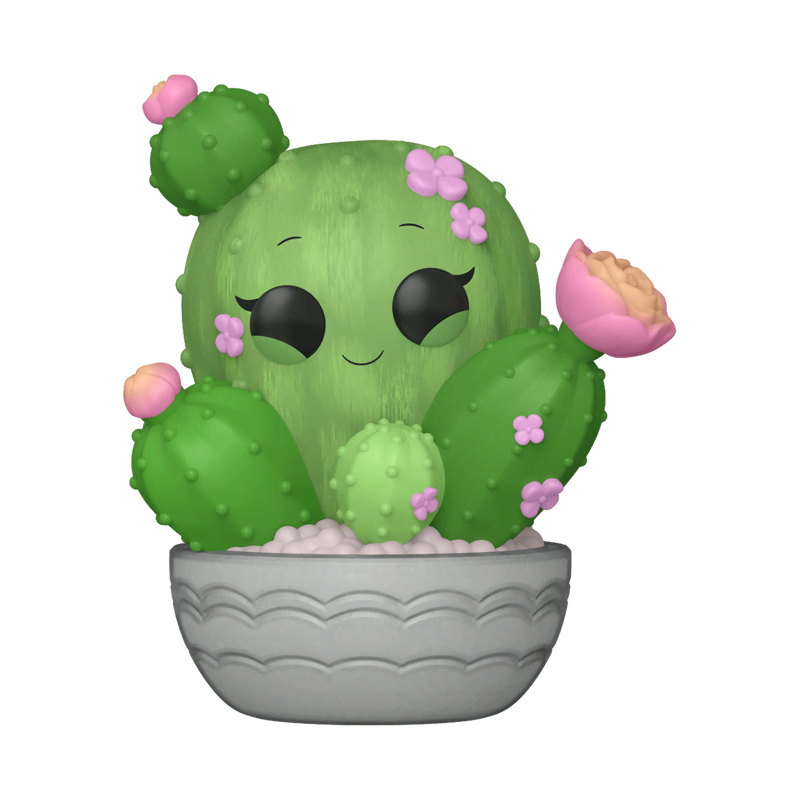 Pop! Plants Barrel Cactus